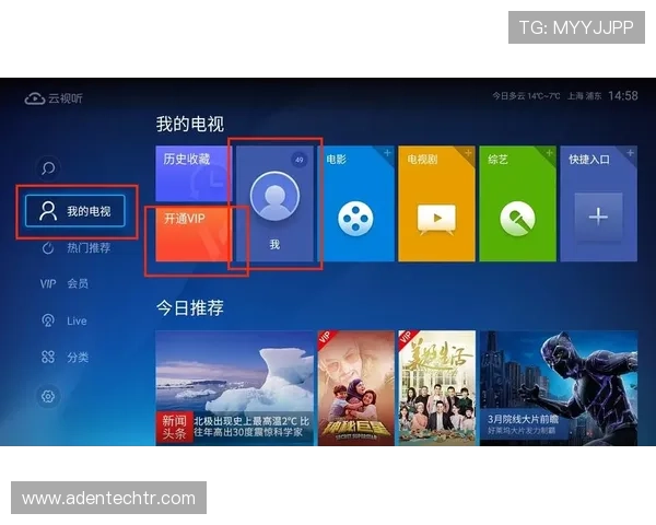新手必看：迈博真人会员登录的注册技巧与使用指南