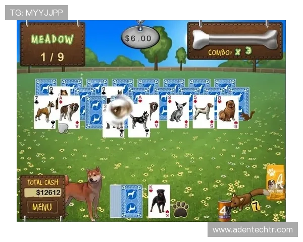 激发棋牌乐趣的最火棋牌娱乐大全介绍 激发棋牌乐趣的最火棋牌娱乐大全介绍