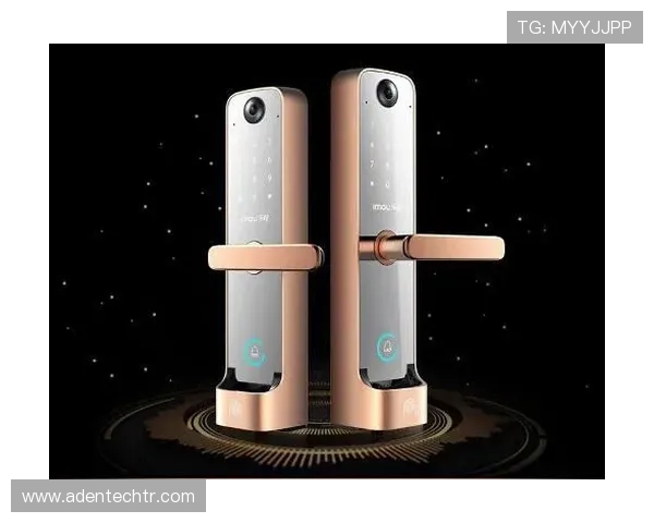 乐橙AG旗舰厅网址最新安全登录指南，全面保障您的线上娱乐体验与账户安全