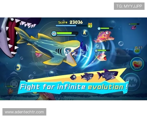 K8扑鱼登陆最新版本上线带来丰富游戏内容和优化操作界面深受玩家喜爱