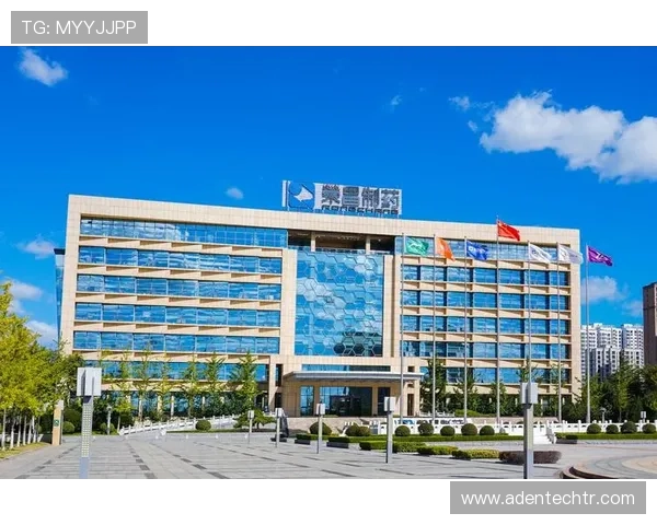 详细解析k8凯发官网入口官方入口地址，提供最全的登录步骤与常见问题解决方案